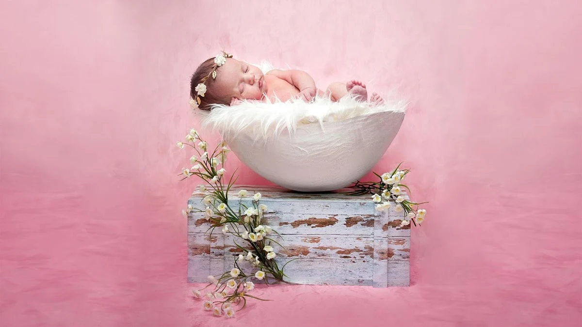 Hoyos Foto Estudio