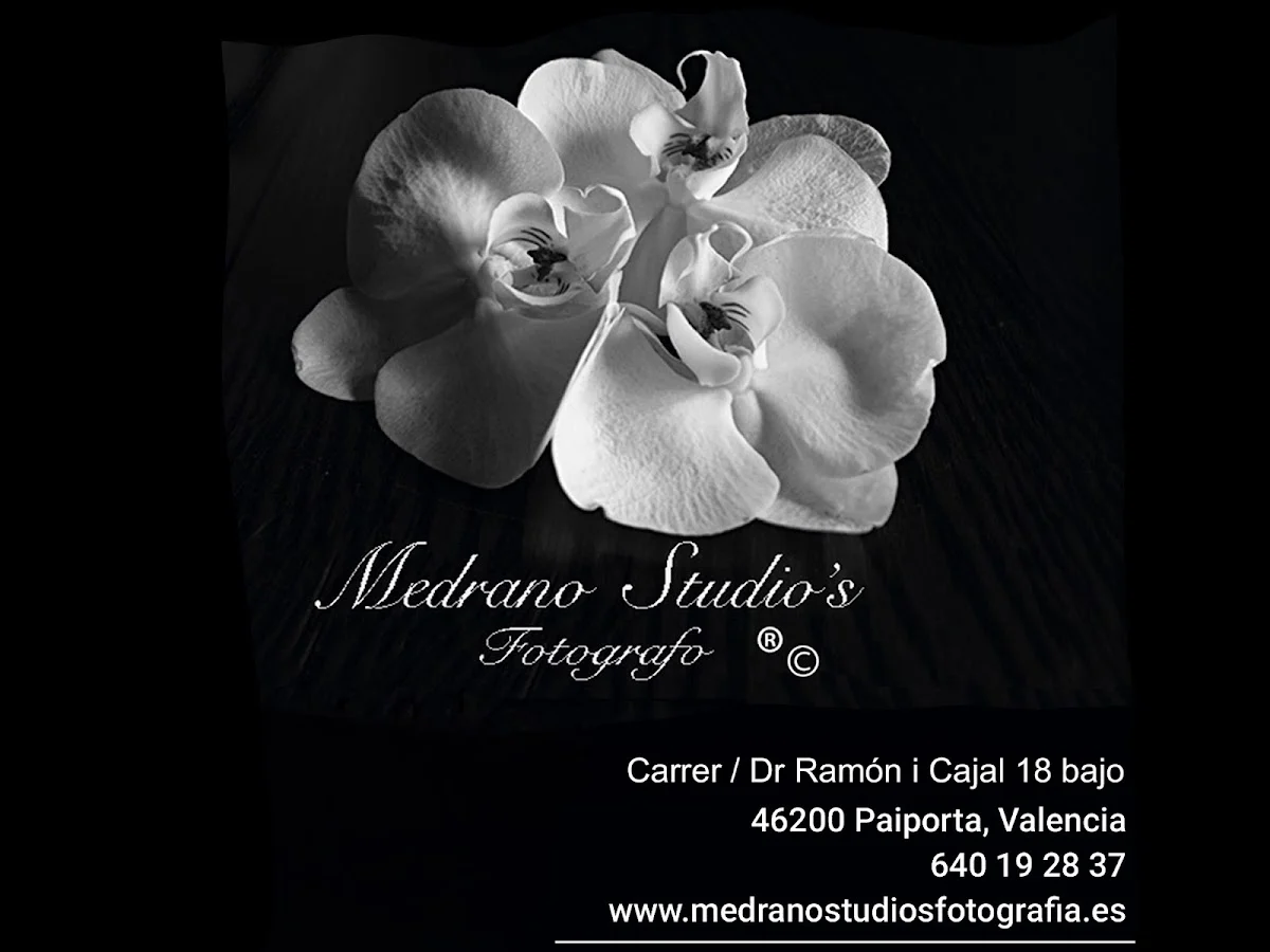 Medrano Studio's